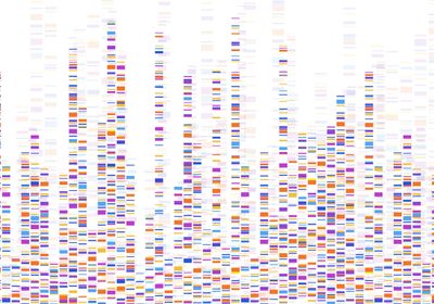 Genome sequence map concept