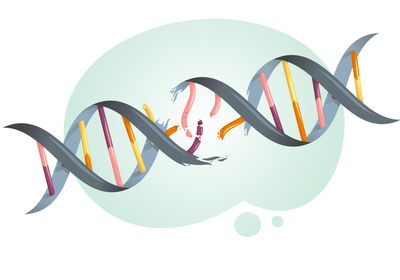 illustration of a broken DNA strand